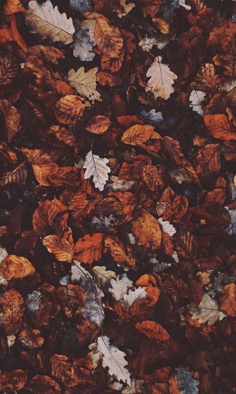 Tyler May cover image