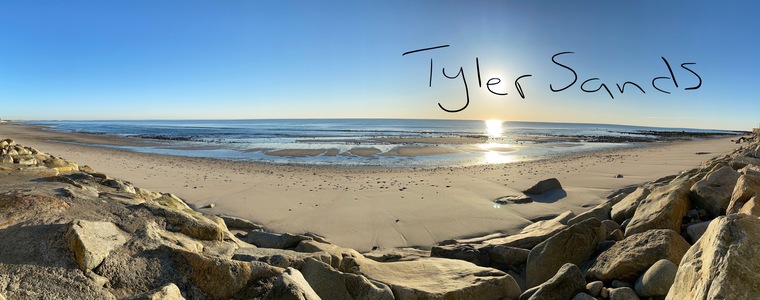 Tyler Sands cover image