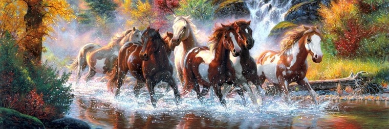 Tystallion34 cover image