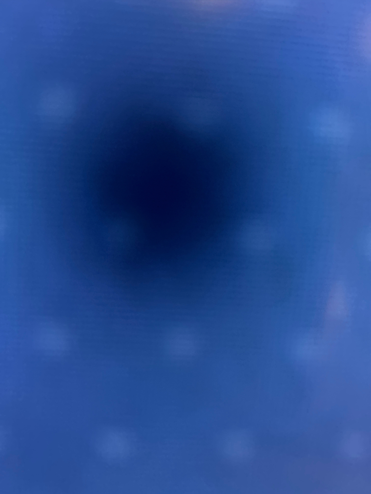 King luc banner image