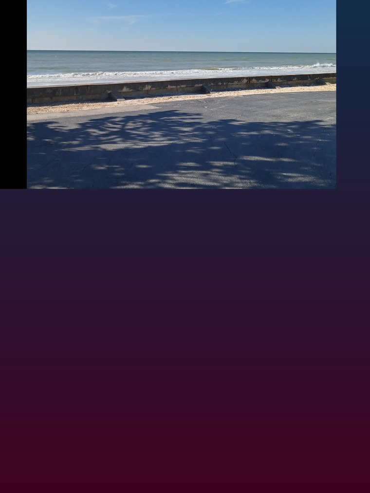 Professor69996 cover image