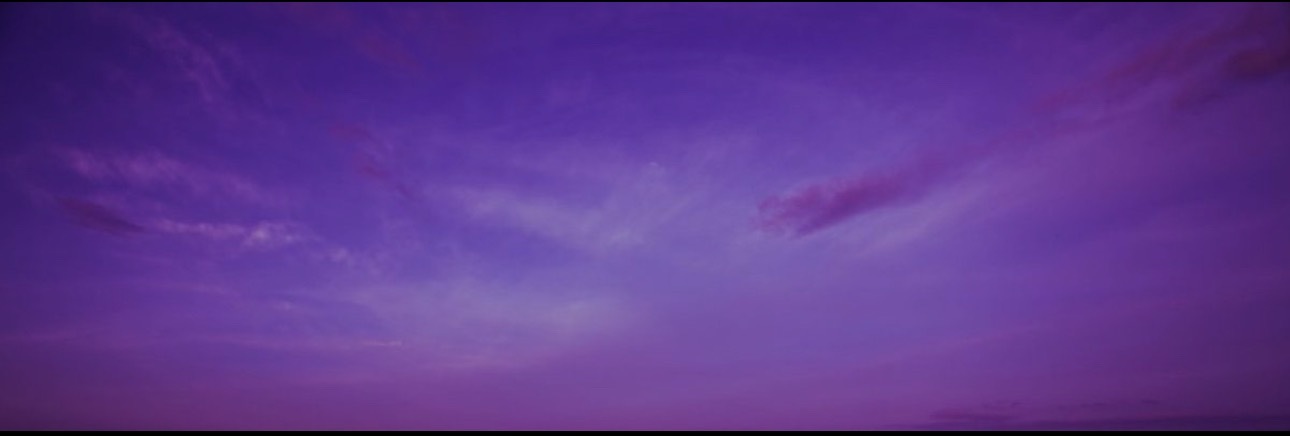 Dawn Jackson banner image