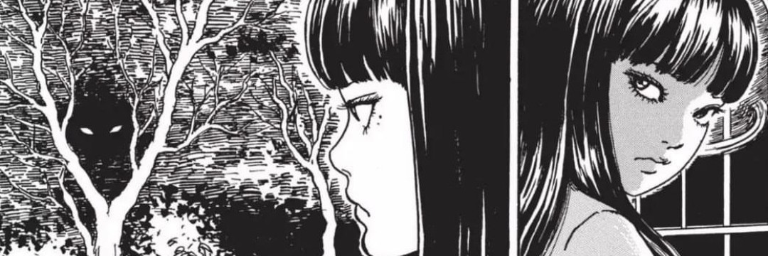 Roxy banner image