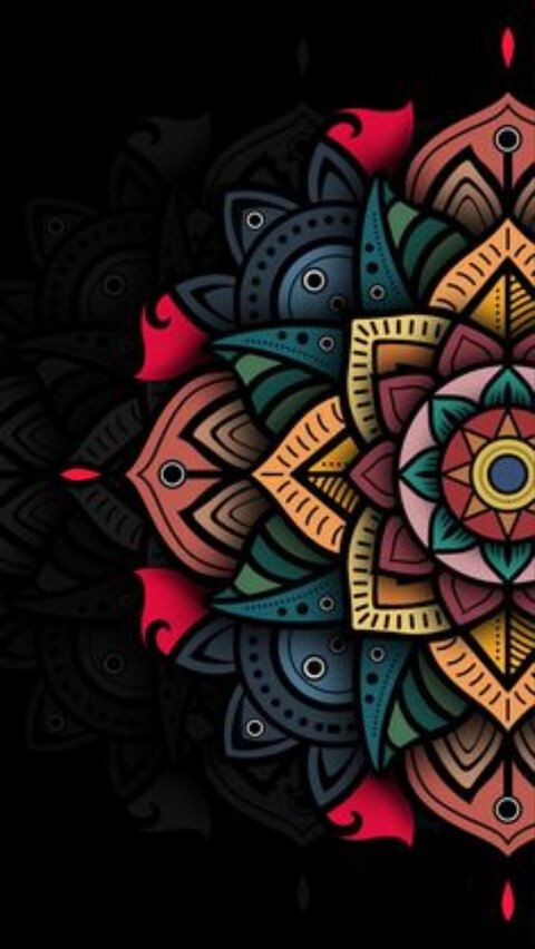 Conejita cover image