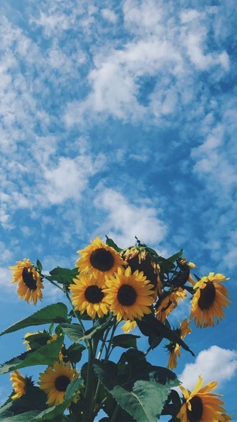 Móni Montaño banner image