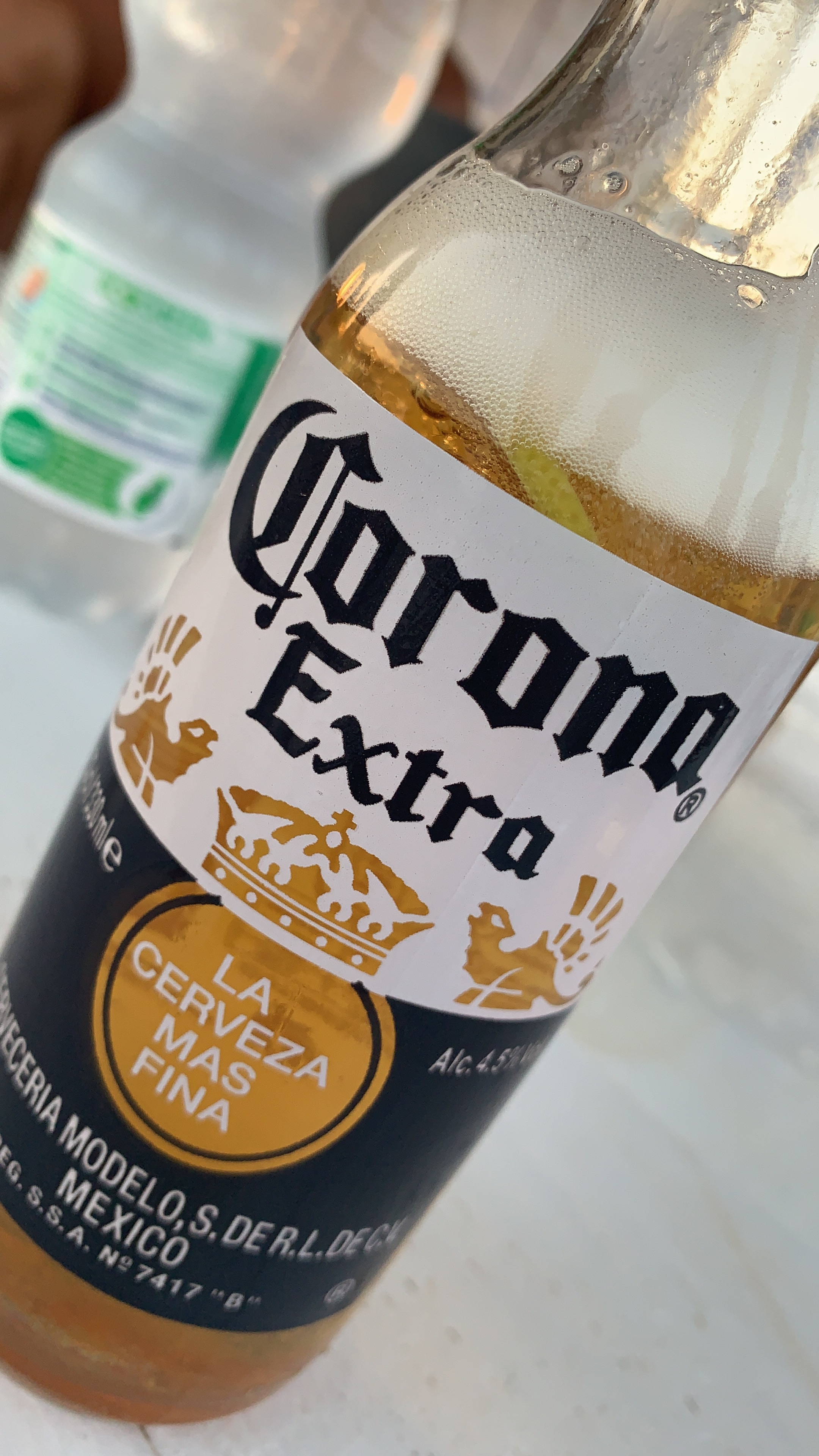 Loco del Mar banner image