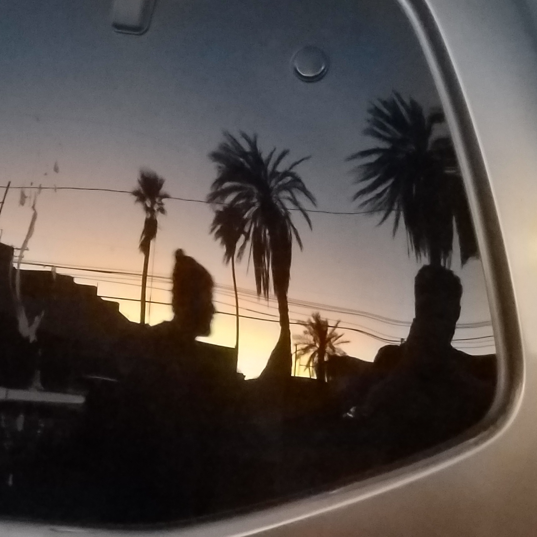 M banner image