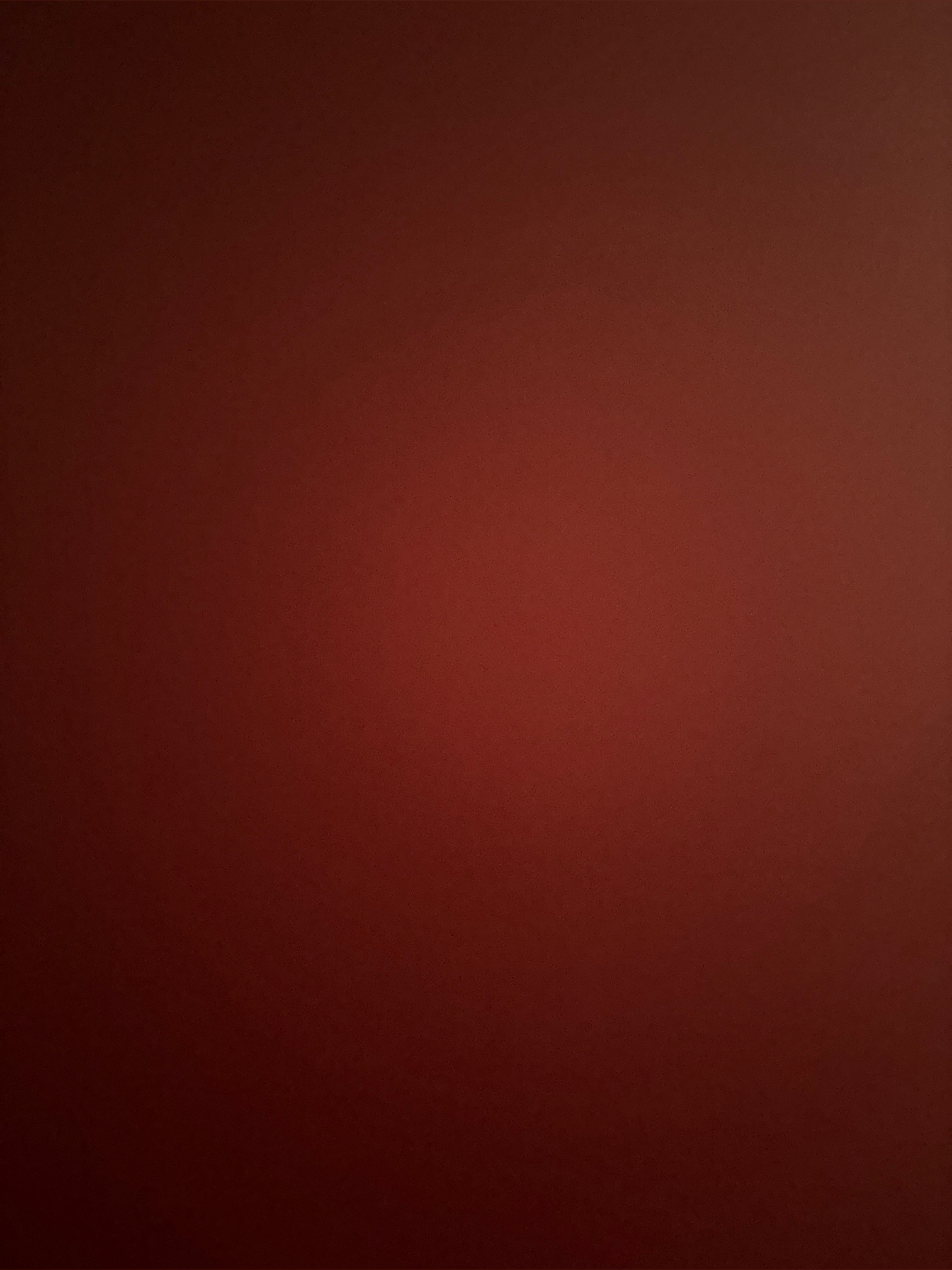Stephany Paz banner image