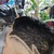 Jostin Noguera Morales avatar