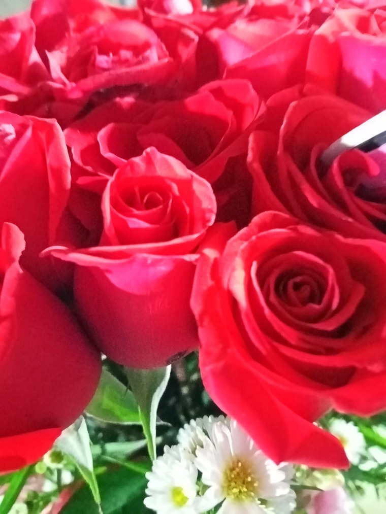 Skar banner image