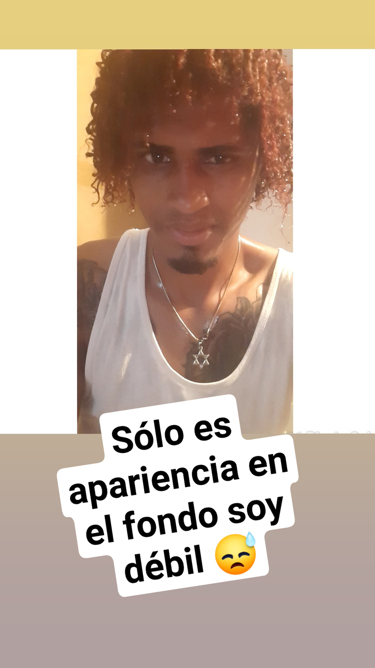 El plebeyo dominicano π₯π₯ banner image