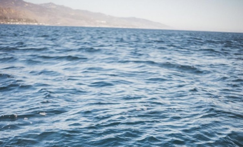 Taylor Smith banner image