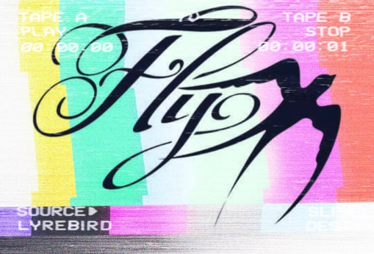 Dj-Flylife banner image