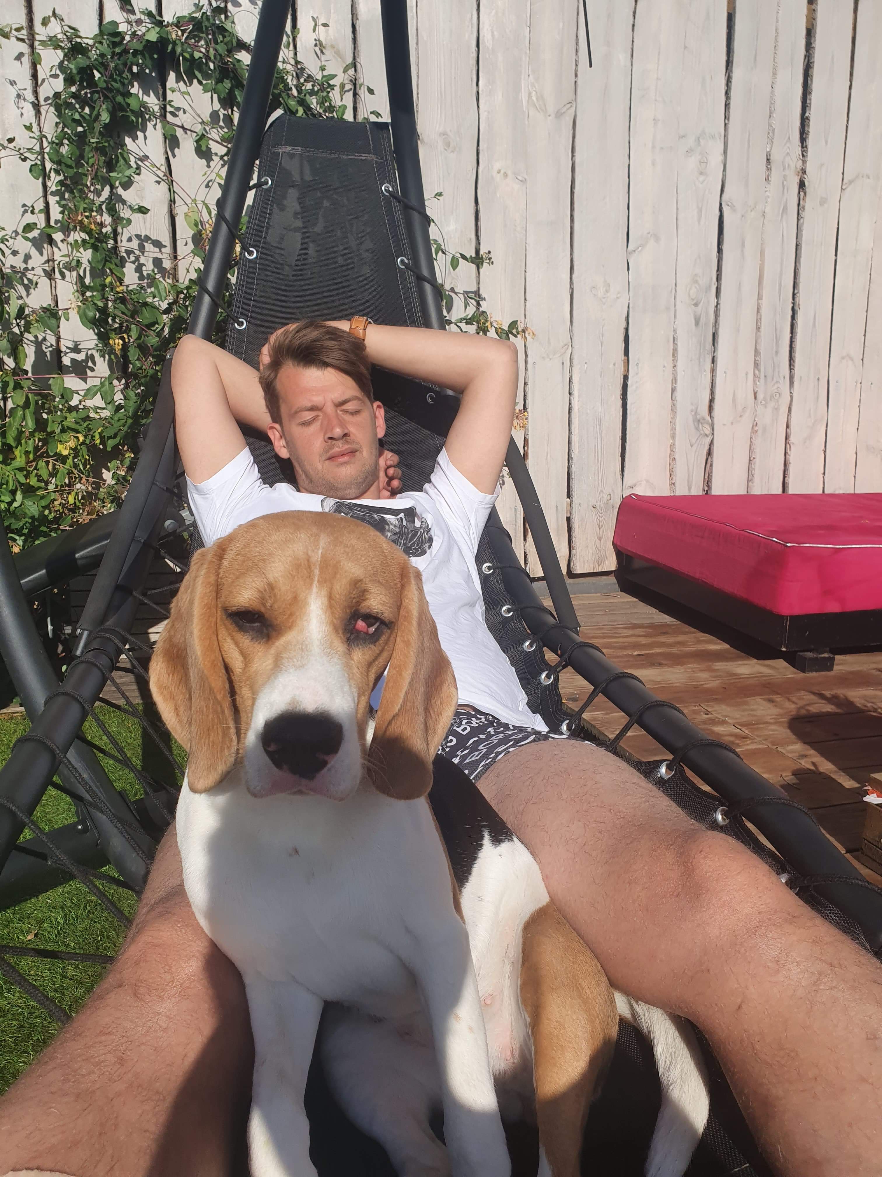 Bjorn banner image