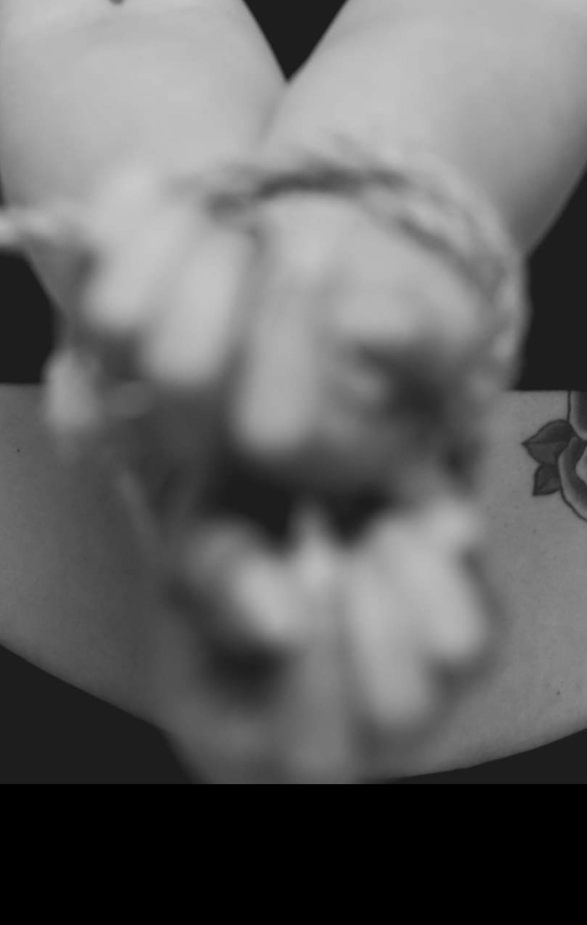 Dom_Taylor banner image