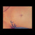 Skyler avatar