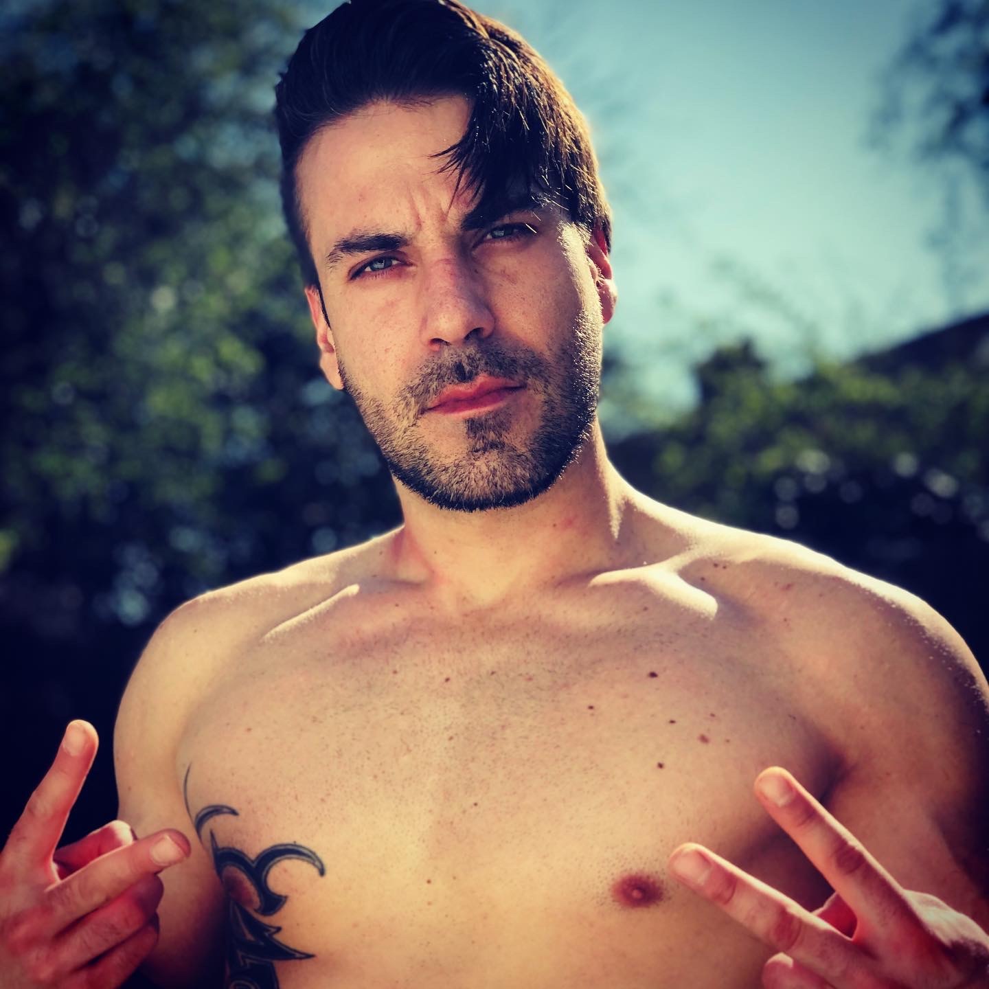 Mattster banner image