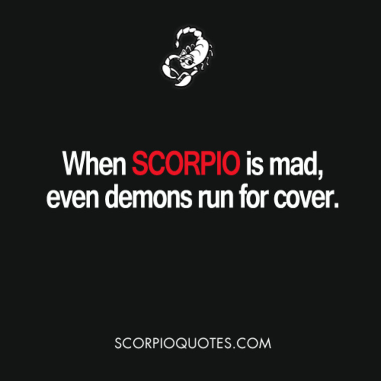 Pocket rocket cover image