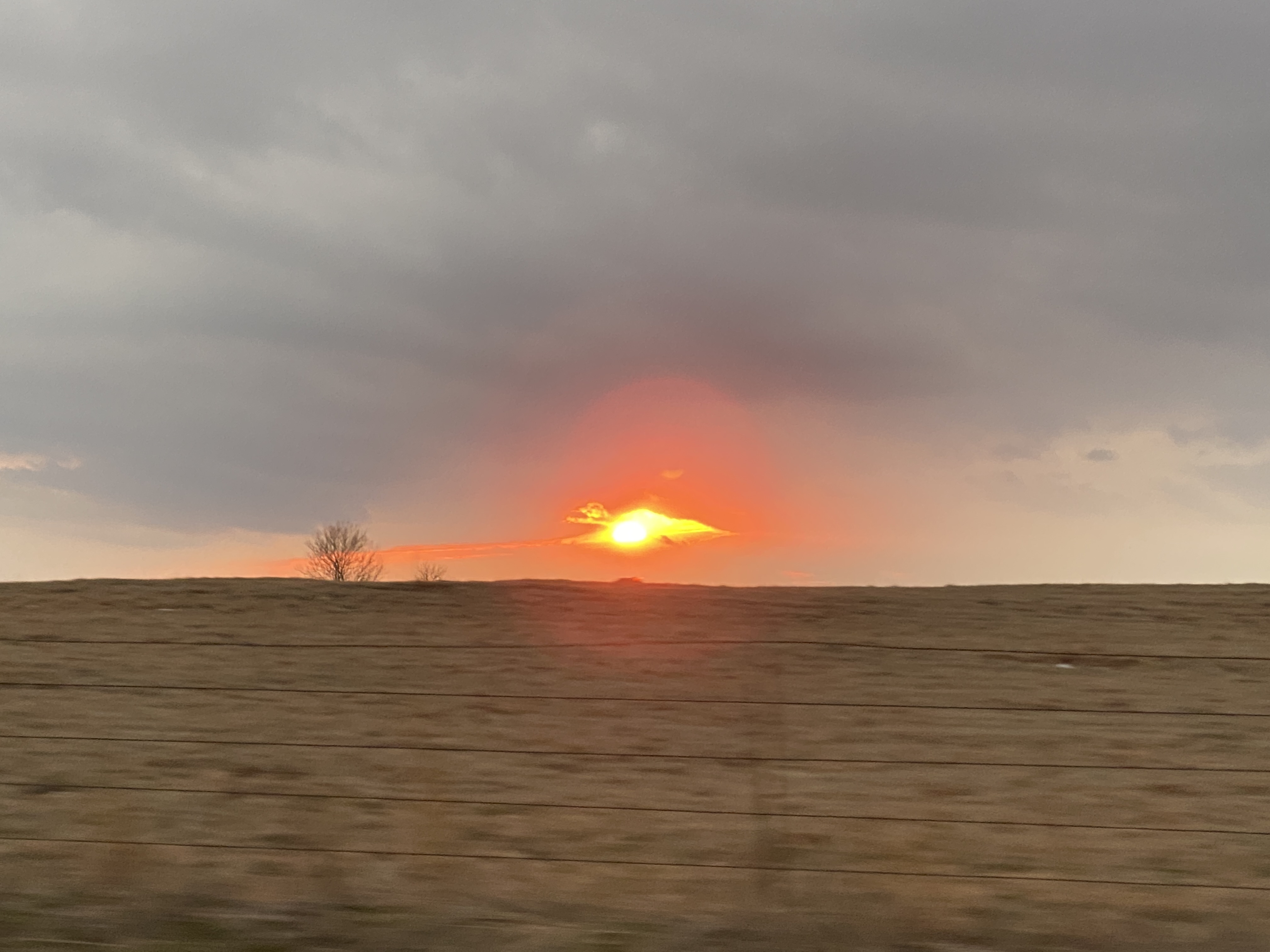 Brooke banner image