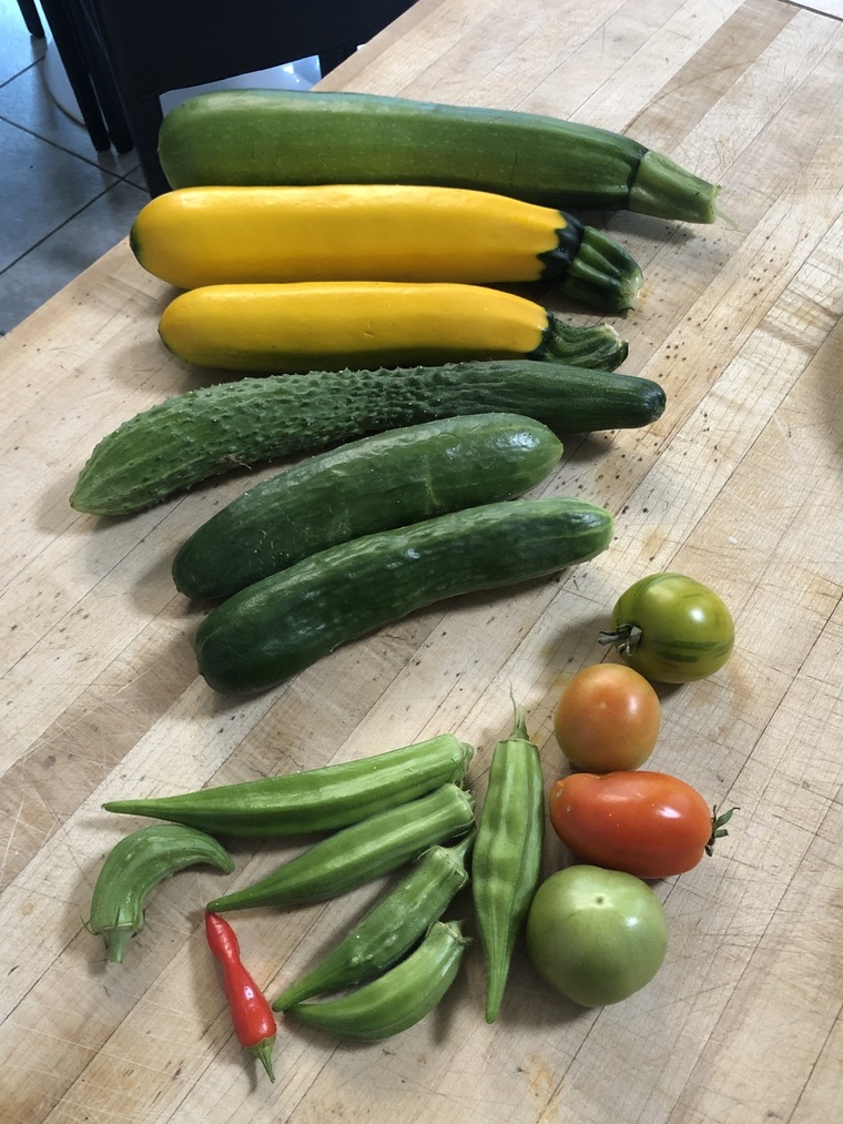 CariContraryGardens cover image