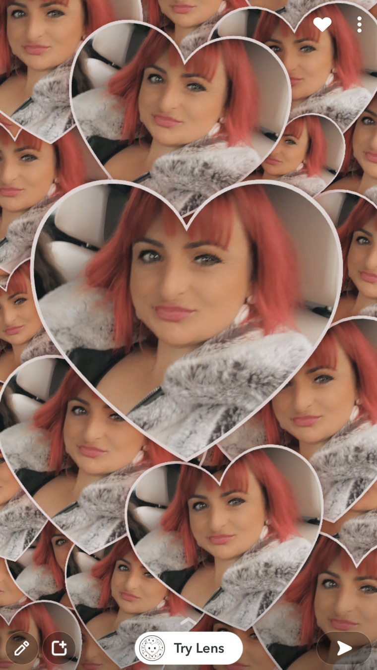 Cheeky Aussie needing your love ❤️ banner image