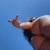 Drip Mammi avatar