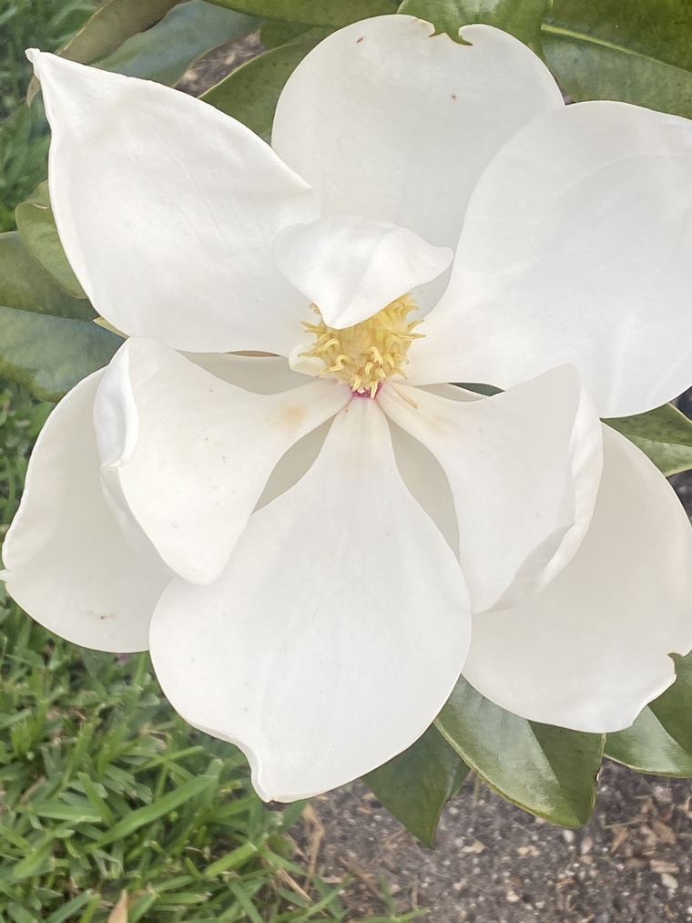 u137679896 cover image