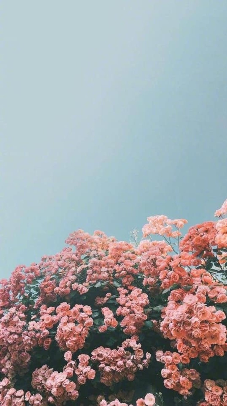 Orik cover image