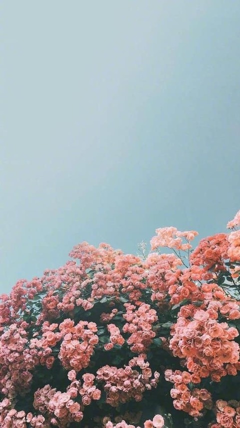 Orik cover image