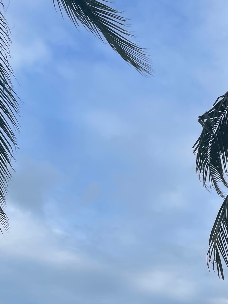 Igor_man banner image