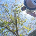Avi Gindratt avatar