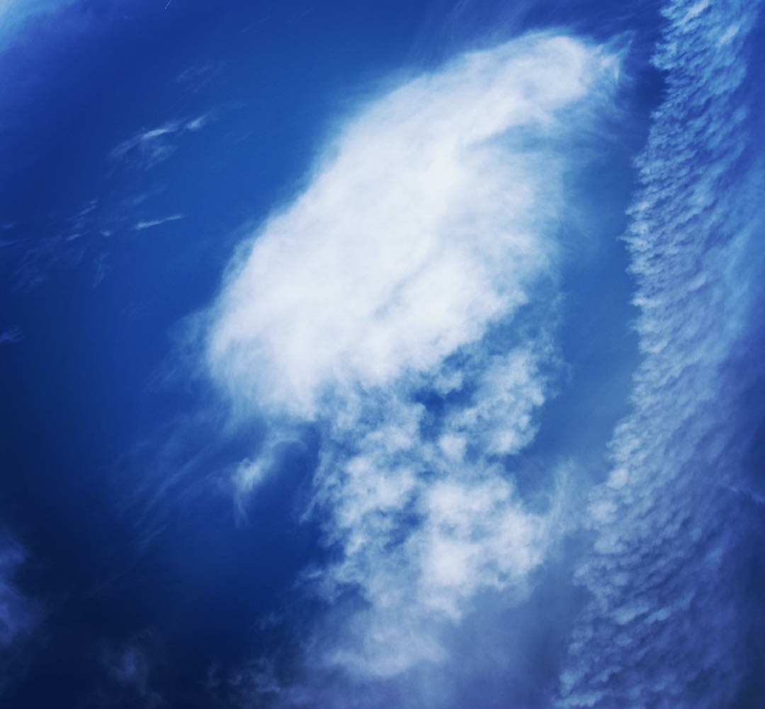 Cali banner image