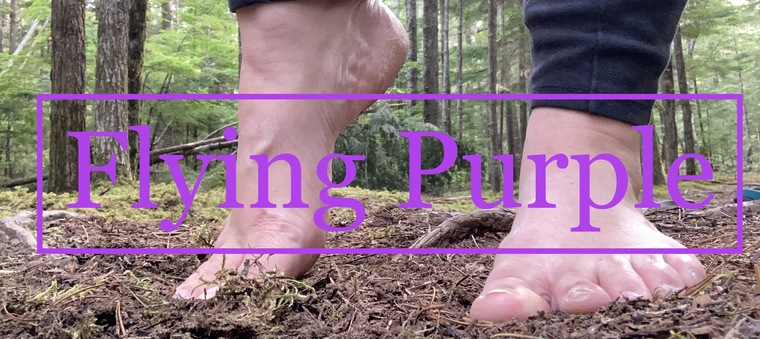 Flying purple cover image