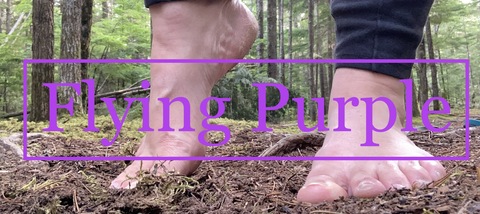 Flying purple cover image
