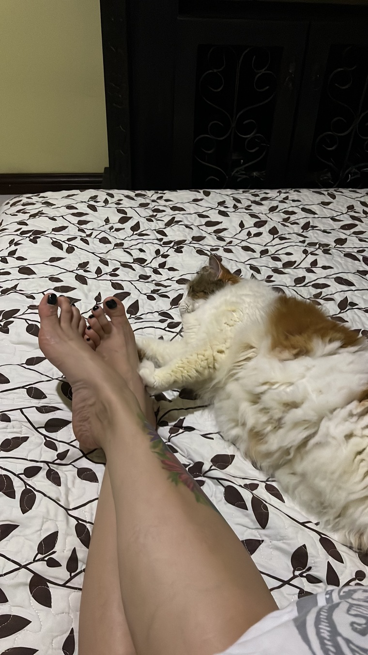 Daphe banner image