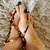 u144291193 avatar