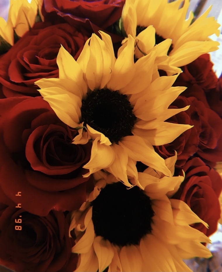 Bebeoct2021 cover image