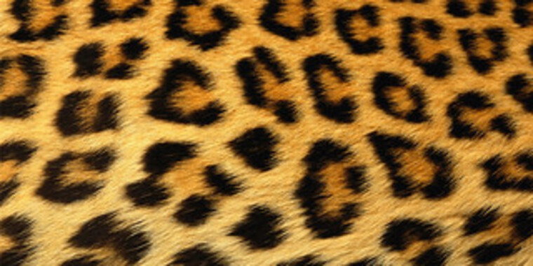 Crownedjules cover image