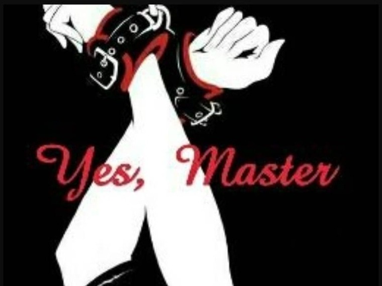 u149117711 banner image