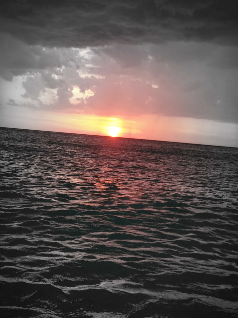 Urlee Nguyen cover image