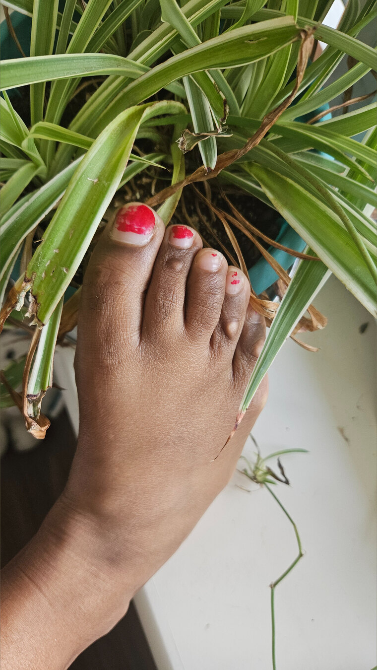 Feet and Plants cover image