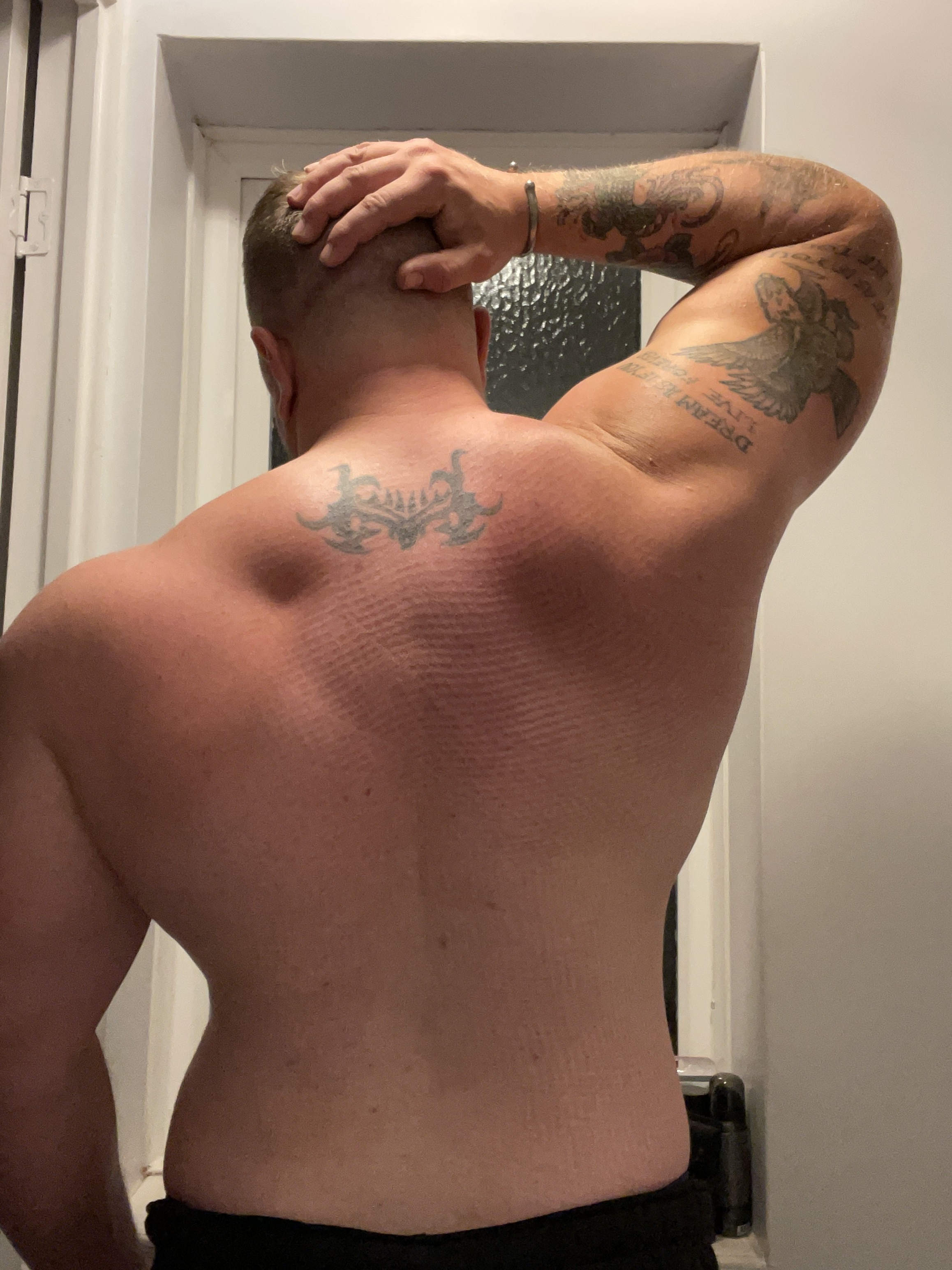 Muscle.shoulders banner image