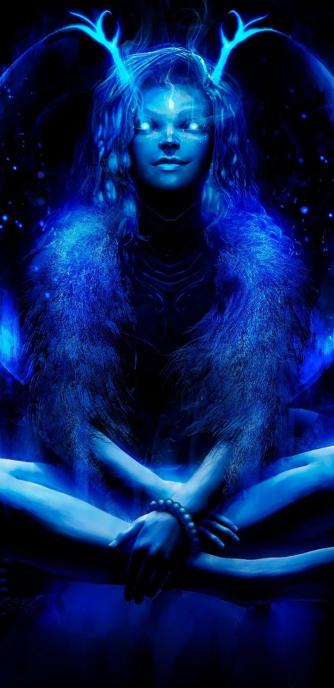Chelsea ray cover image