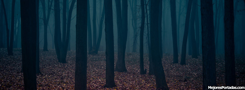 Paola Kroos banner image