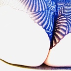 Misscutiewithabootie.xo avatar