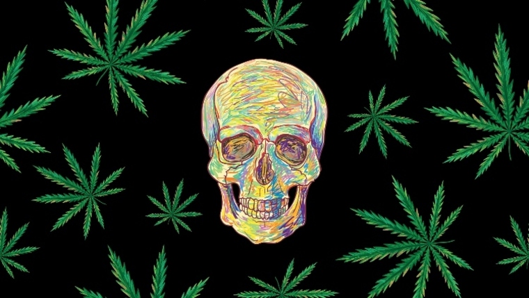 CannaPunk420 cover image
