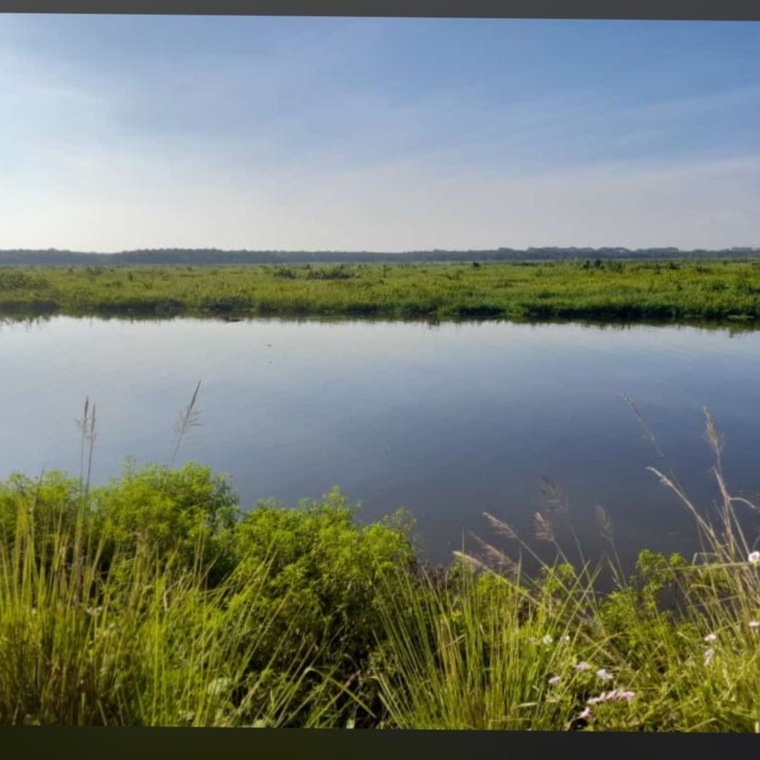 Yaalí banner image