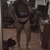 alex_231 avatar