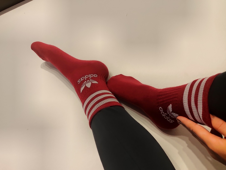 Bella banner image