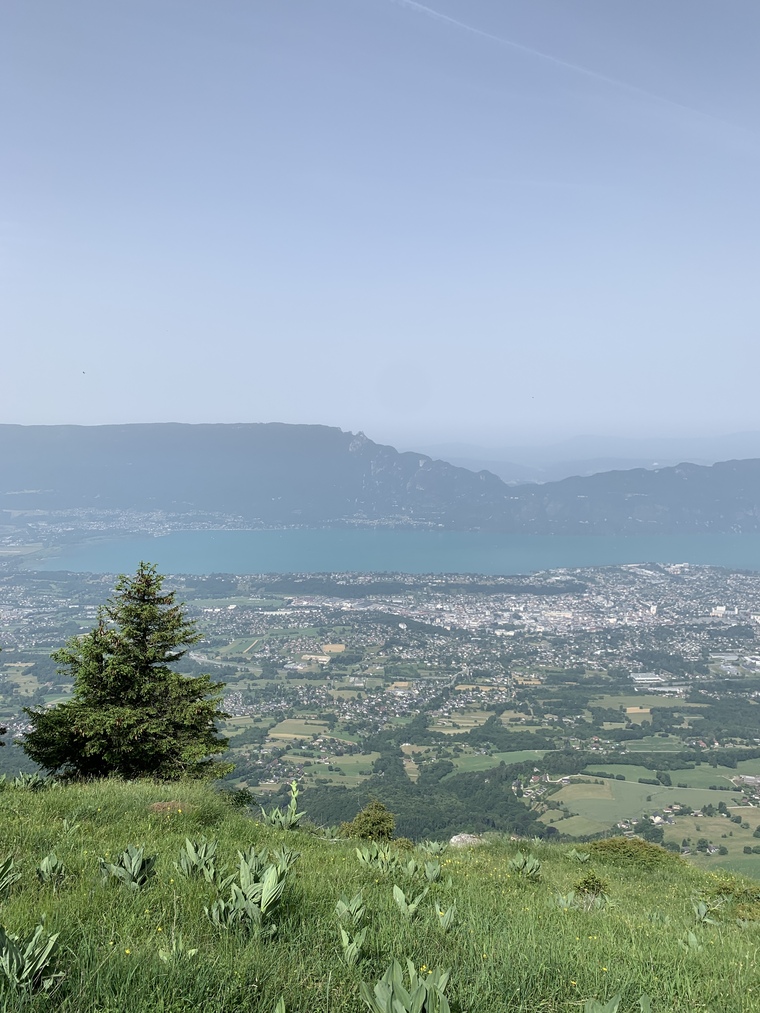 em banner image